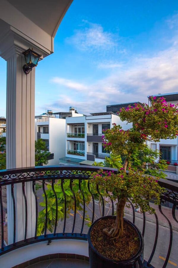 397986387 839789294818262 1562782330578057973 n