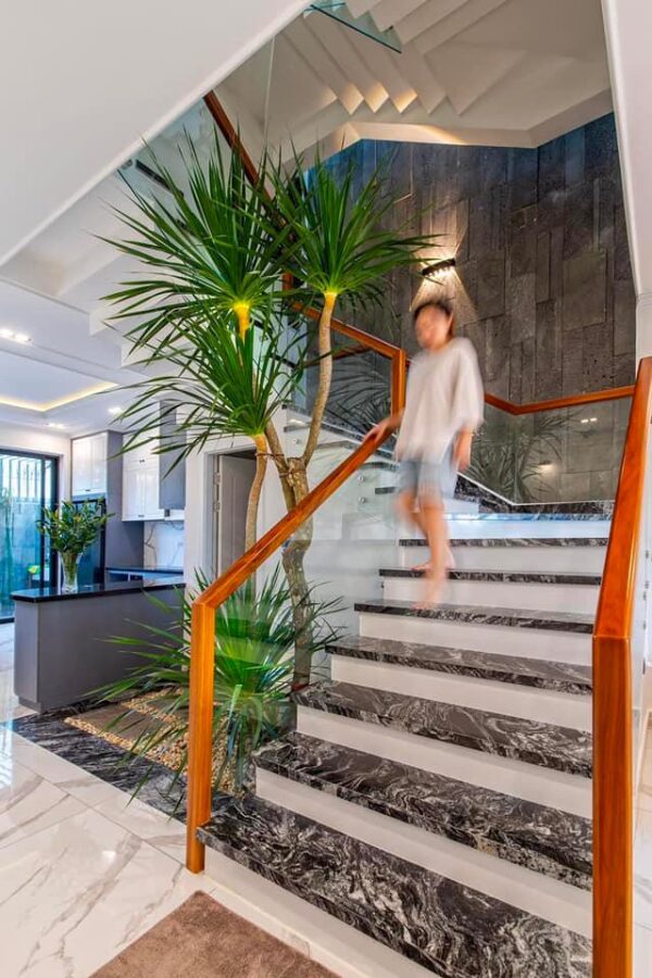 398138346 839788788151646 2851454394141634707 n